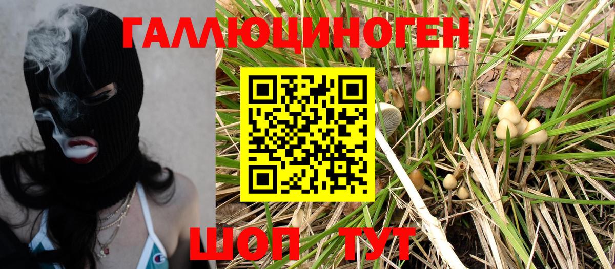 Галлюциногенные грибы Psilocybe  Вход с VPN  Псилоцибиновые грибы прущие грибы  Канаш 