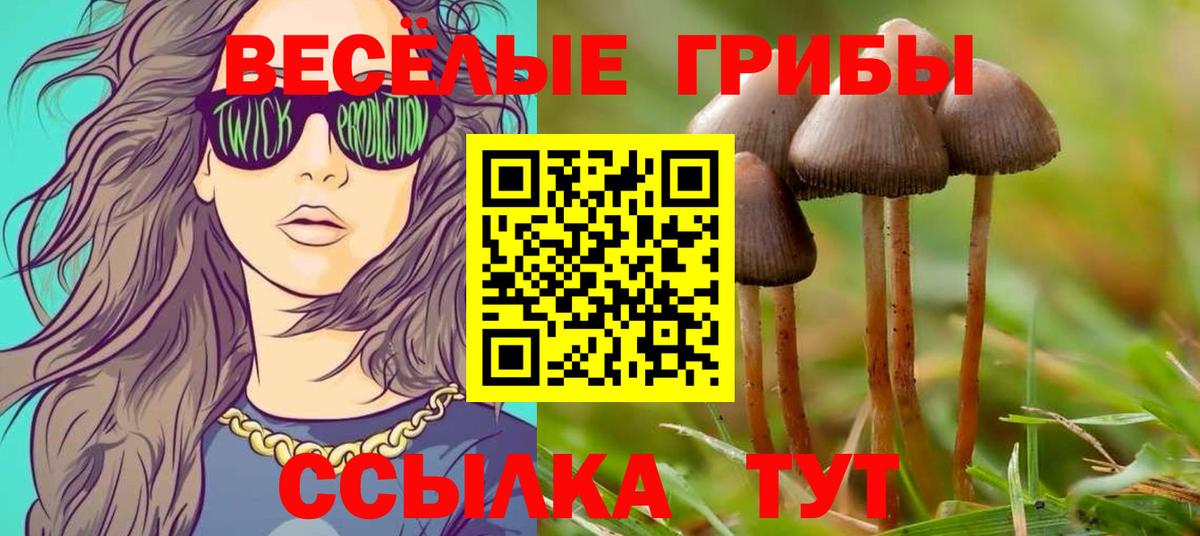 Псилоцибиновые грибы ЛСД Канаш