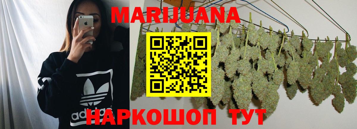 Канабис семена Канаш